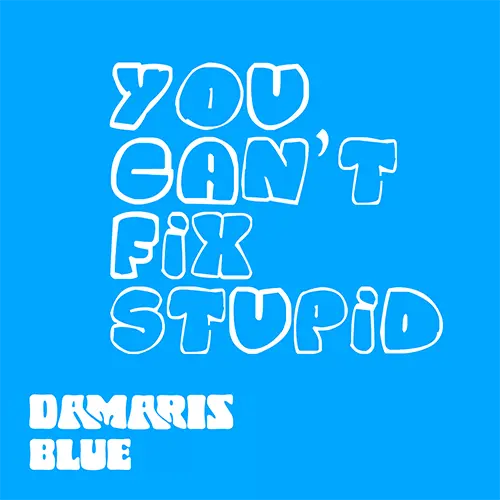 You Can't Fix Stupid by Damaris Blue